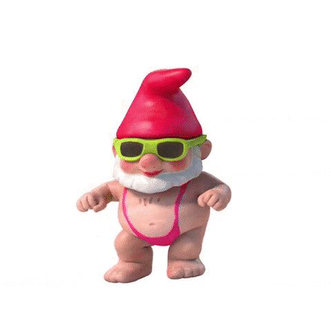 Featured image of post Animated Dancing Gnomes Gif