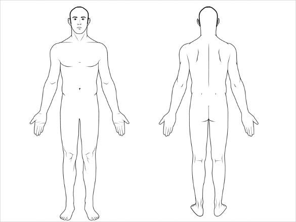 Featured image of post Blank Human Body Diagram