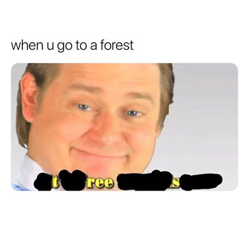 Featured image of post Free Real Estate Memes Clean