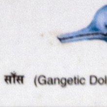 Featured image of post What Does Sham Mean In Sanskrit